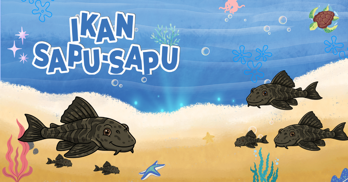 Gak Ada Habisnya! Ini Alasan Ikan Sapu-Sapu Sulit Diberantas