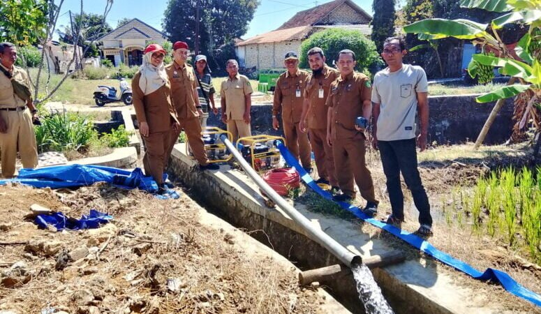 DKPP Sumenep Gerak Cepat Atasi Potensi Kekeringan Lahan Pertanian