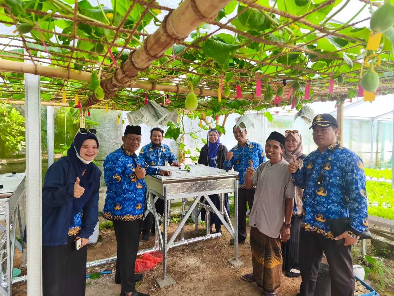 Terobosan Baru! Budidaya Melon Sistem Machida Hadir Perdana di Sumenep
